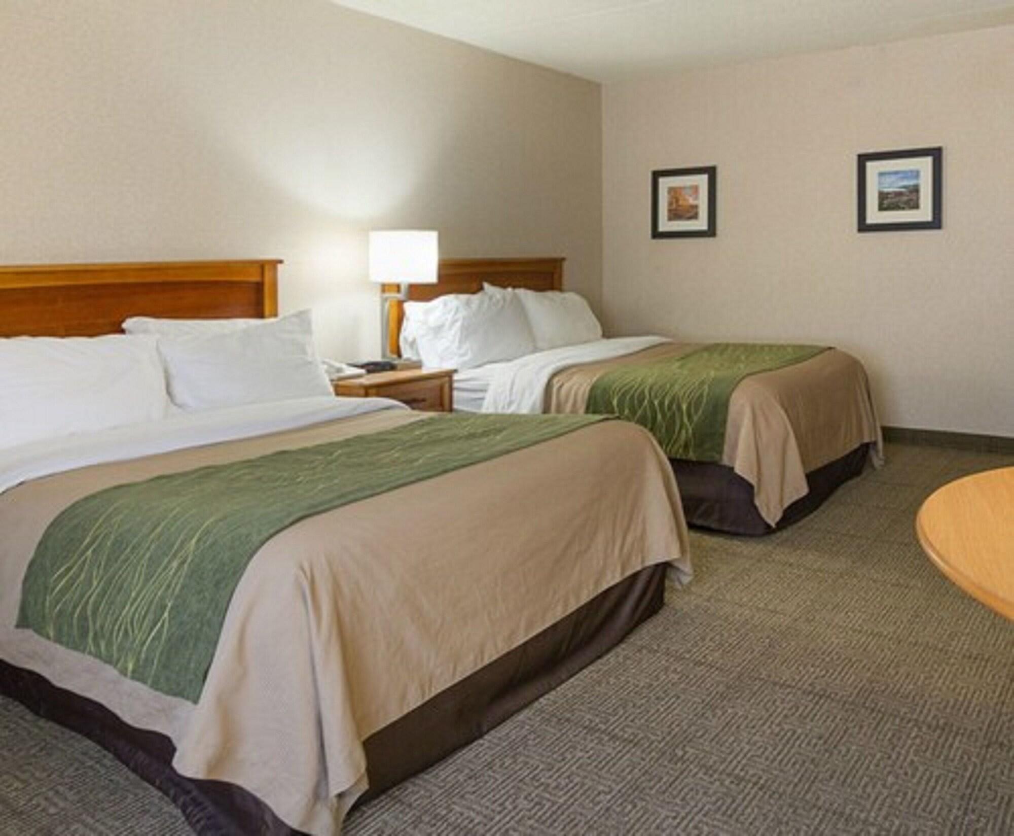 Comfort Inn & Suites Syracuse-Carrier Circle East Syracuse Bagian luar foto