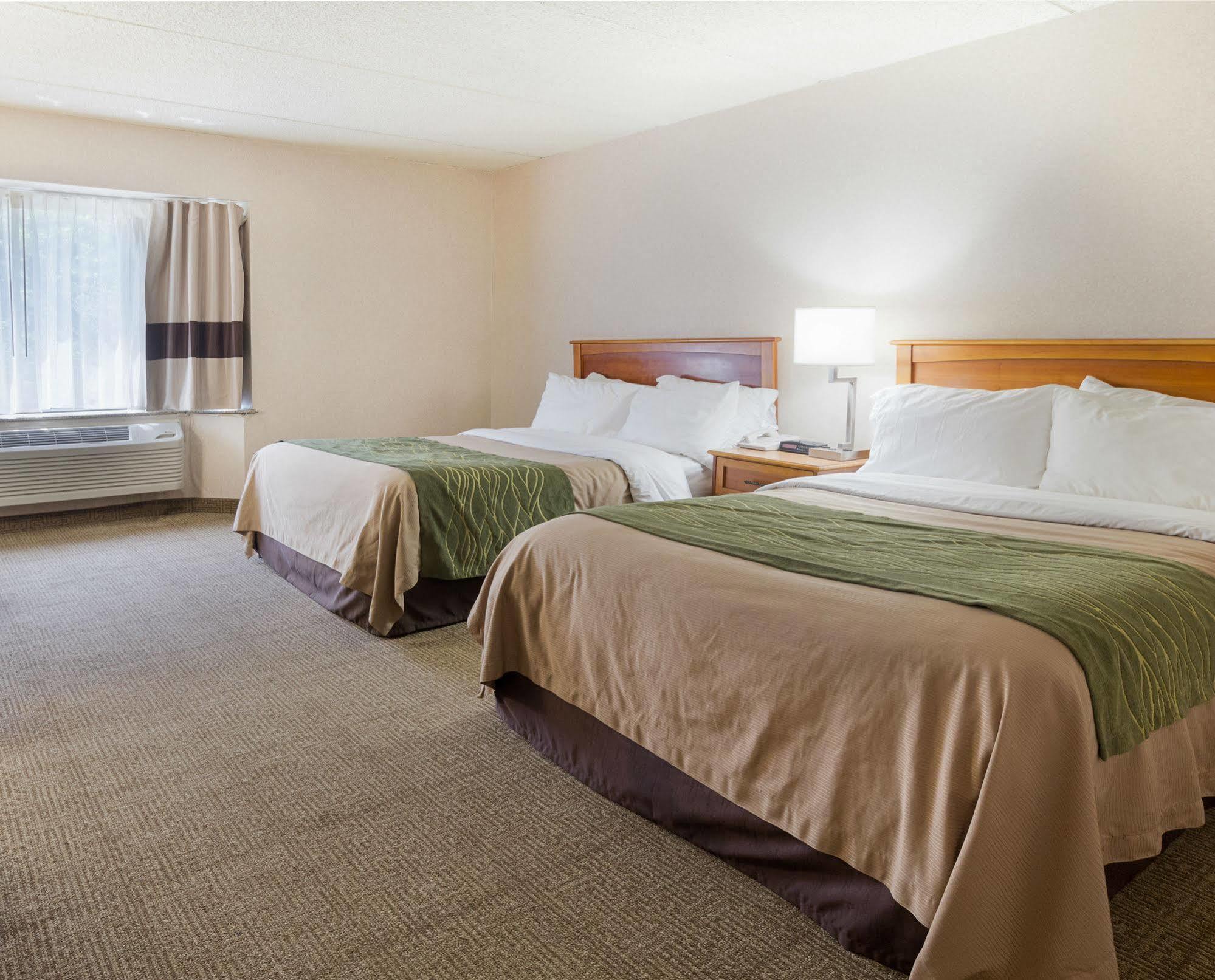 Comfort Inn & Suites Syracuse-Carrier Circle East Syracuse Bagian luar foto