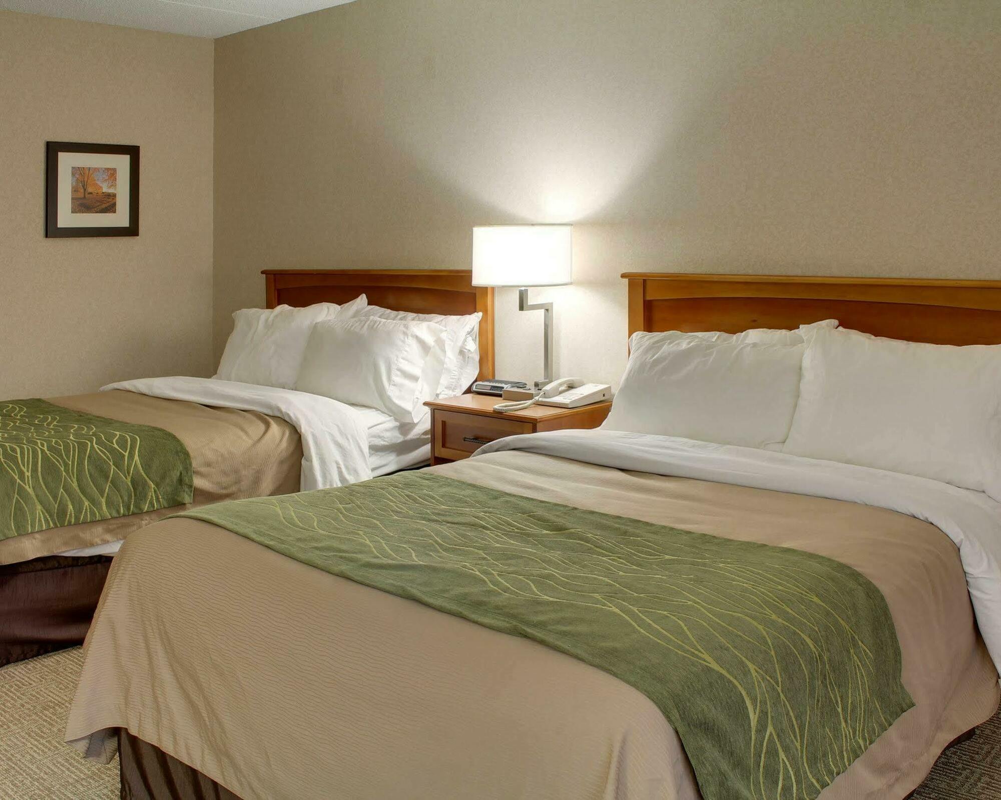 Comfort Inn & Suites Syracuse-Carrier Circle East Syracuse Bagian luar foto